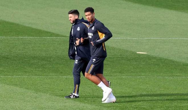 迅速建立起 迅速建立起